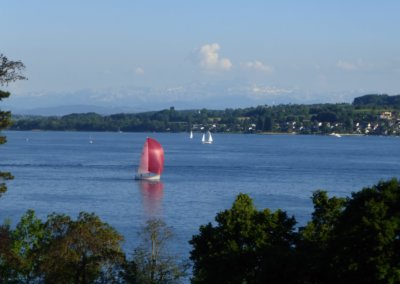 Segeln auf dem Bodensee